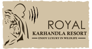 travels website template