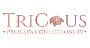 online shopping website template